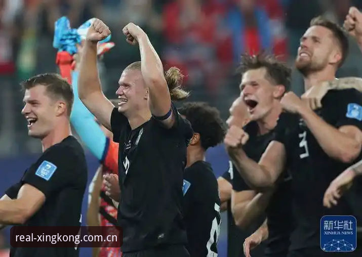 挪威1-0塞内加尔复盘教程：哈兰德中框背后的数据暗线